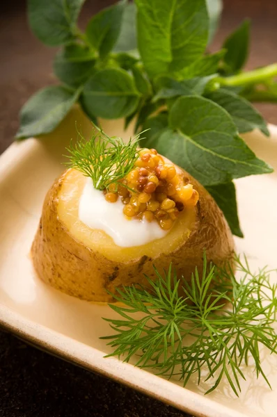 Sült burgonya, tejföllel, a gabona dijoni mustár, a gyógynövények — Stock Fotó
