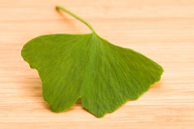 Fresh Leaves Ginkgo On The Wood clipart