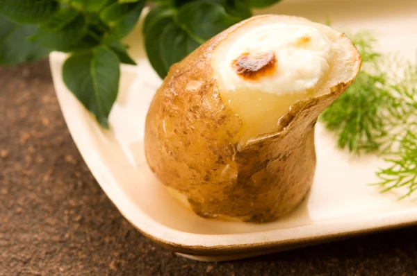 Patata al forno con panna acida e aneto fresco — Foto Stock