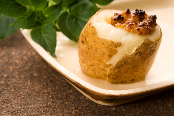 Pečená brambora se zakysanou smetanou, obilí dijonskou hořčicí a bylinkami — Stock fotografie