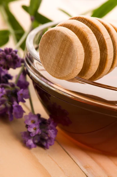 Lavendelhonig mit frischen Blumen. Süßspeisen — Stockfoto