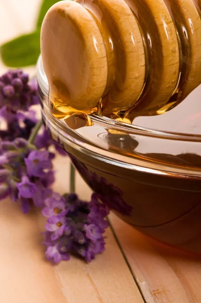 Lavendel honey med färska blommor. söt mat — Stockfoto