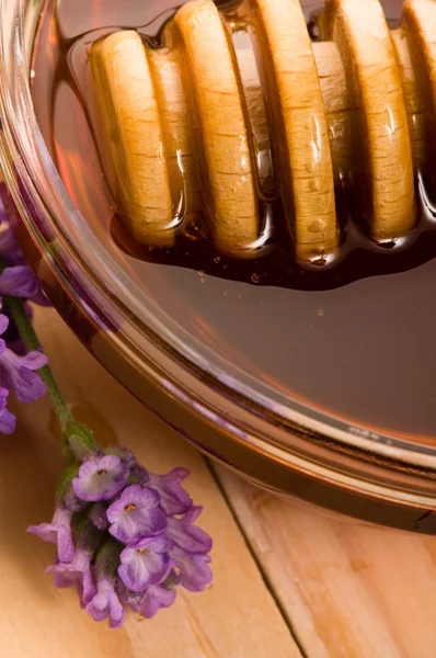 Lavendel honey med färska blommor. söt mat — Stockfoto