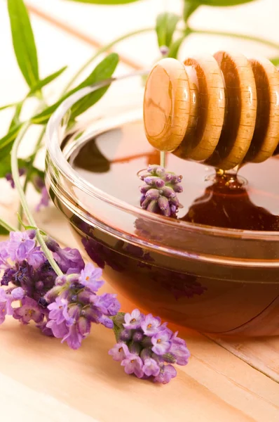 Лавандовый мед со свежими цветами. сладкая пища — стоковое фото