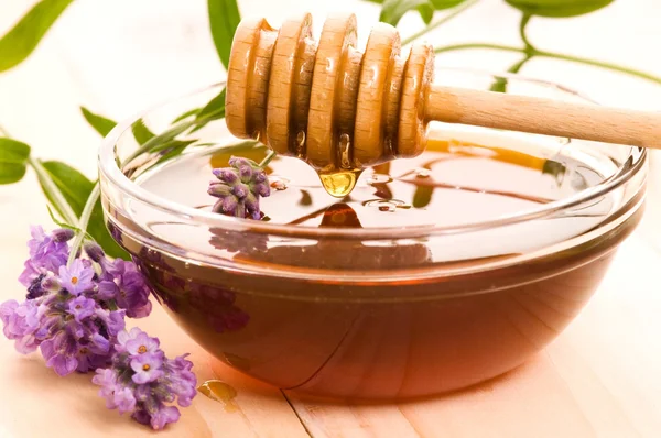 Lavender honey with fresh flowers. sweet food — Stock Photo, Image