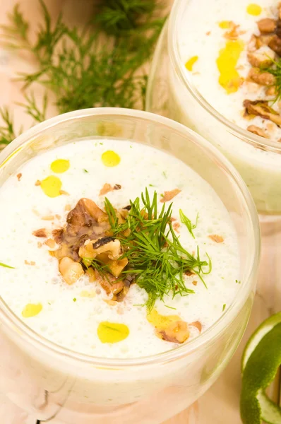 Tarator - tradiční bulharská chladné letní polévka — Stock fotografie