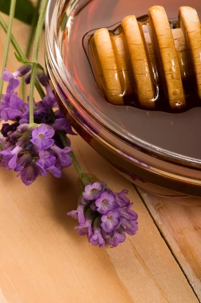Лавандовый мед со свежими цветами. сладкая пища — стоковое фото