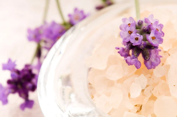 Sal de banho com flores frescas de lavanda — Fotografia de Stock