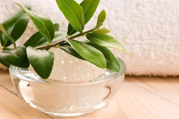 Tengeri só, friss olive Branch. gyógy- és wellness — Stock Fotó
