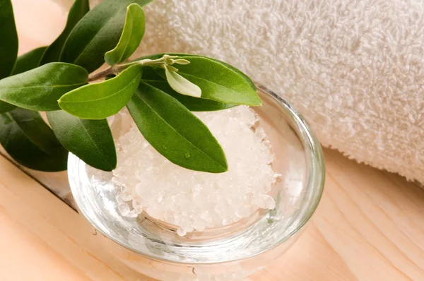 Tengeri só, friss olive Branch. gyógy- és wellness — Stock Fotó