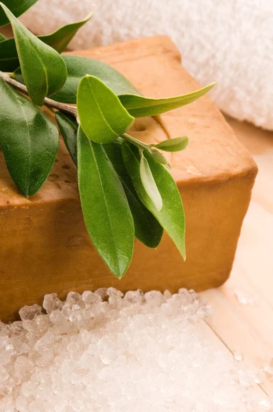 天然橄榄皂与新鲜分支 — 图库照片