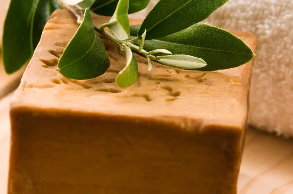 Přírodní olivové mýdlo s čerstvou větev — Stock fotografie