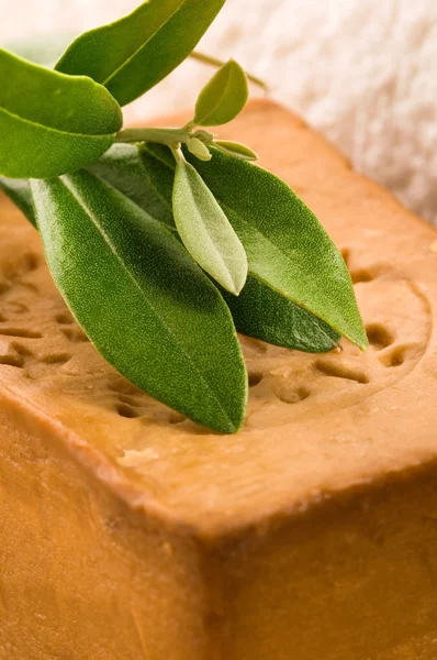 Naturliga oliv tvål med färsk gren — Stockfoto