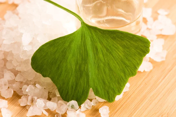 Hojas frescas de ginko biloba aceite esencial y sal marina - belleza tr — Foto de Stock