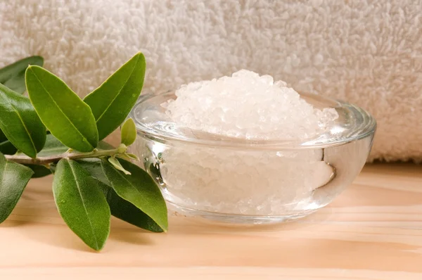 Sea Salt With Fresh Olive Branch. Spa And Wellness — Stock Photo, Image