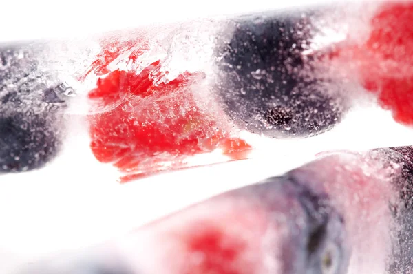 Frambuesa y mora congeladas en palitos de hielo —  Fotos de Stock