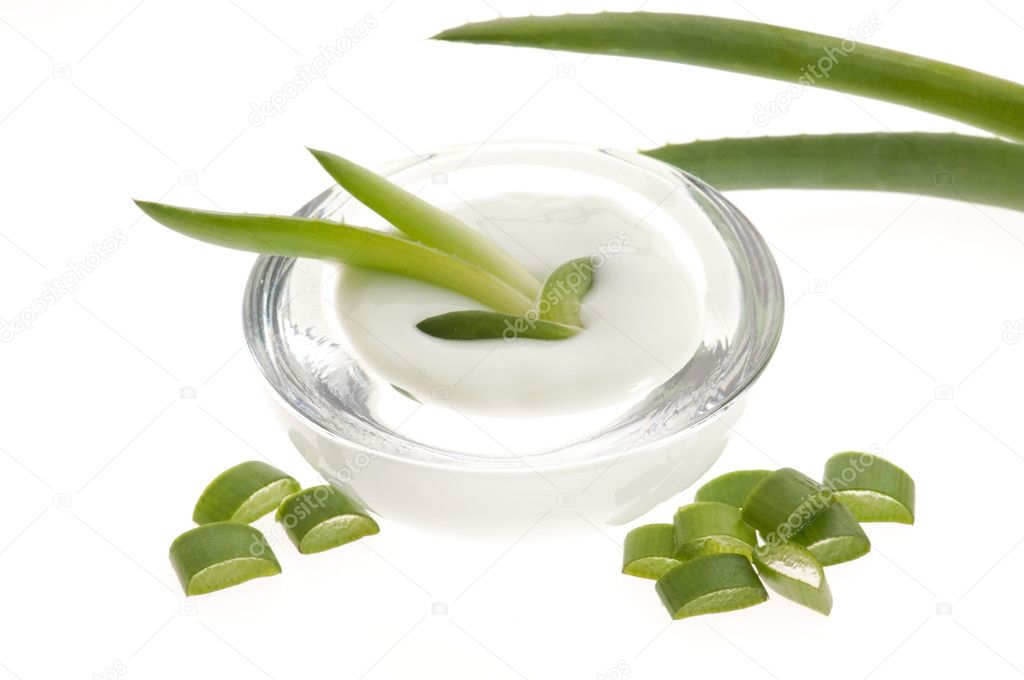 Aloe vera - leaves and cream isolated on white background