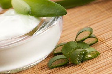 aloe vera - yaprak ve yüz kremi