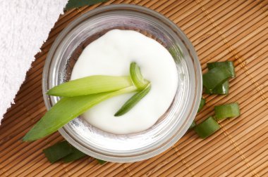 Aloe vera - leaves and face cream clipart