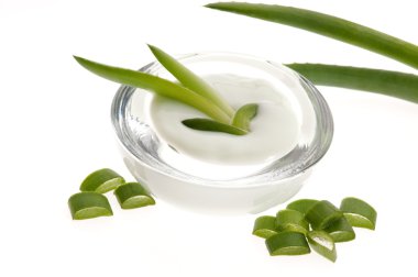 aloe vera - yaprakları ve beyaz arka plan üzerinde izole krem