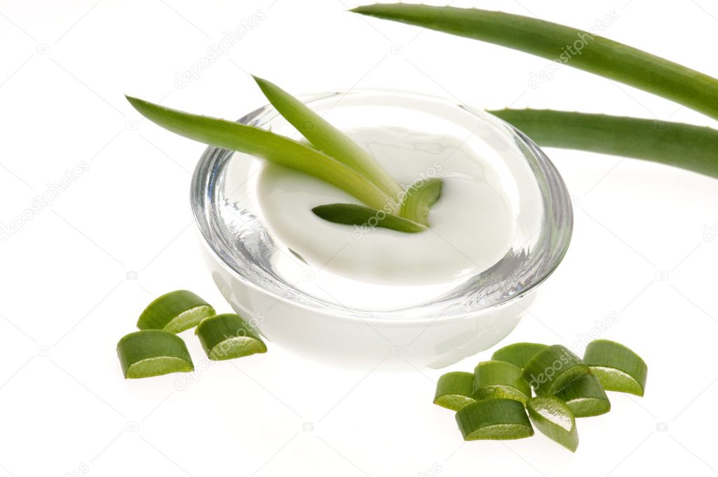 Aloe vera - leaves and cream isolated on white background