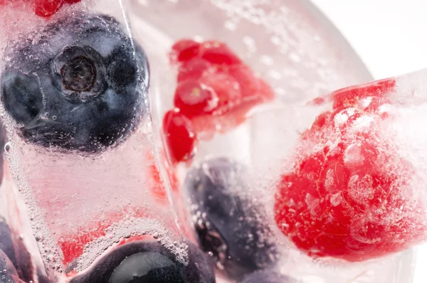 Framboos en blackberry bevroren in het ijs stokken — Stockfoto
