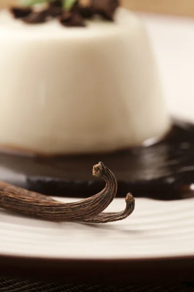Panna Cotta with chocolate and vanilla beans — Stock Photo, Image