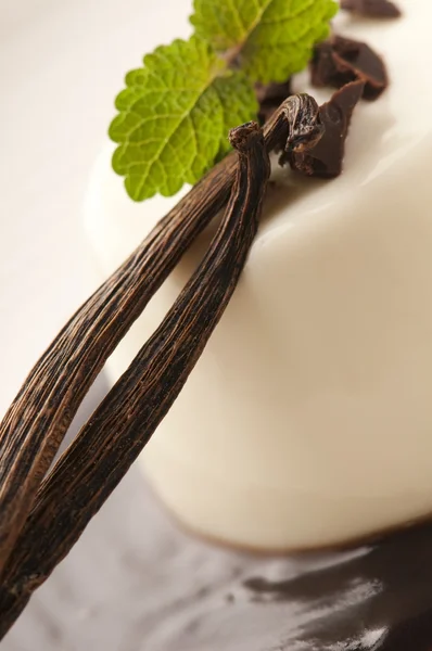 Panna Cotta with chocolate and vanilla beans — Stock Photo, Image