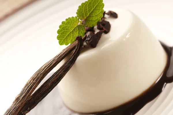 Çikolatalı ve vanilyalı Panna Cotta. — Stok fotoğraf