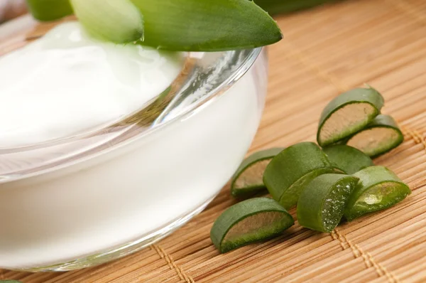 Aloe vera - leaves and face cream — Stock Photo, Image