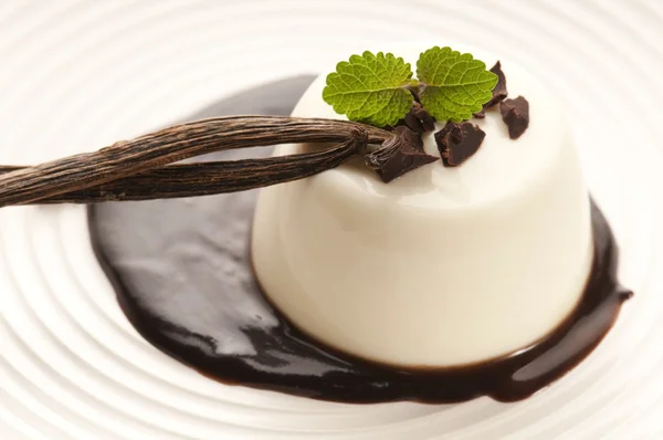 Panna Cotta с шоколадом и ванильной фасолью — стоковое фото