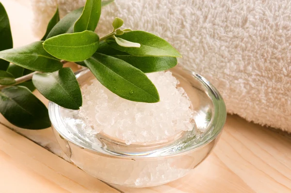 Mořská sůl s čerstvou olivovou ratolestí. lázně a wellness — Stock fotografie