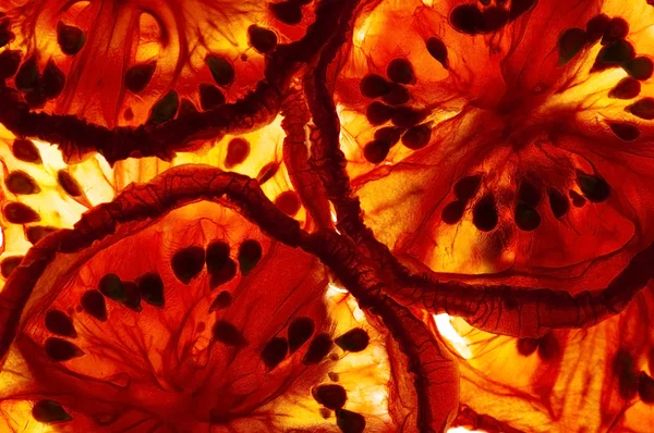 İtalyan güneşi kurutulmuş domatesler — Stok fotoğraf