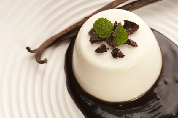 Panna Cotta с шоколадом и ванильной фасолью — стоковое фото