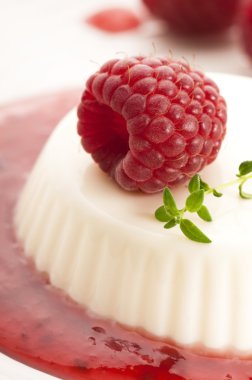 Vanilla panna cotta berry sos ile