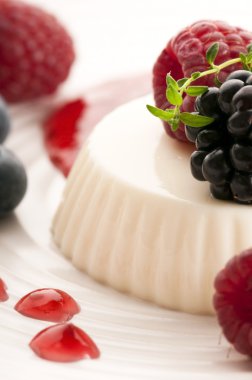 Vanilla panna cotta berry sos ile