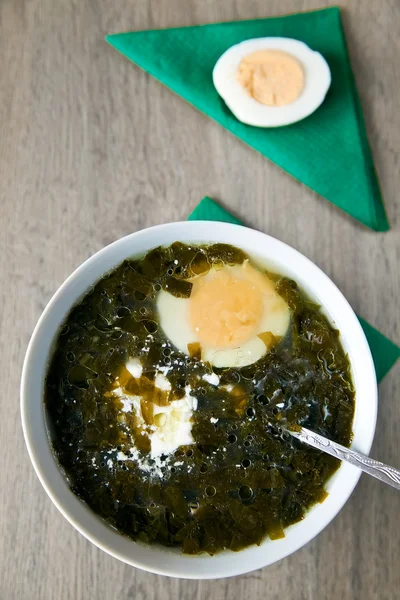 Зелений щавлю суп — стокове фото