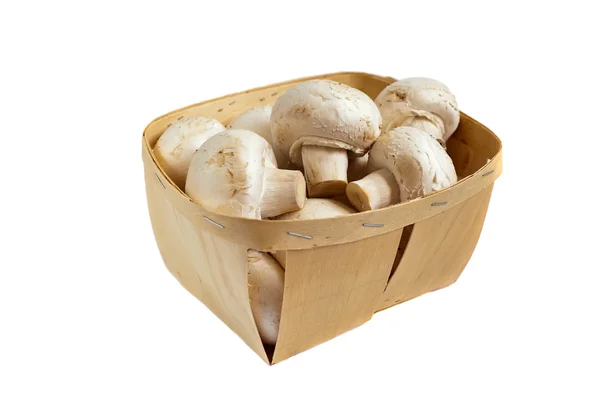 stock image Isolated Mushrooms