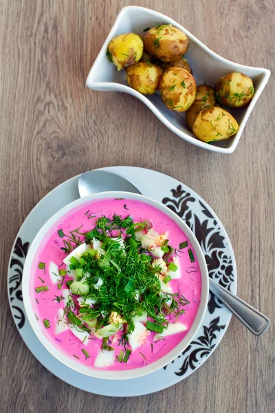 stock image Lithuanian Cold Borscht