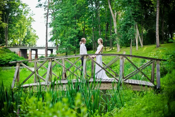 Recém-casados em uma ponte — Fotografia de Stock