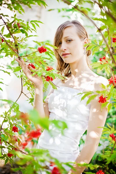 Pretty Bride — Stock Photo, Image