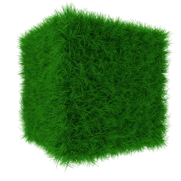 Cubo de grama — Fotografia de Stock
