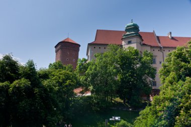 Krakow eski kasaba wawel Kalesi