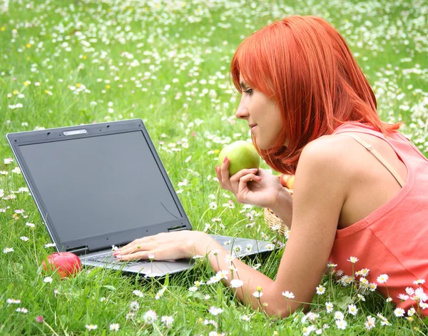 Piknik ile laptop 2 — Stok fotoğraf