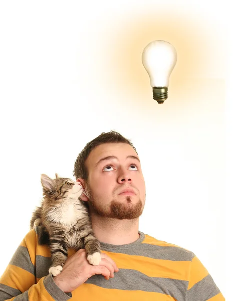 Kedi ile — Stok fotoğraf