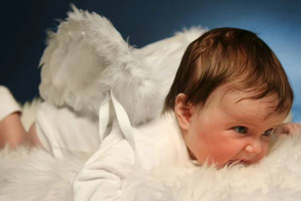 小さな天使 — ストック写真