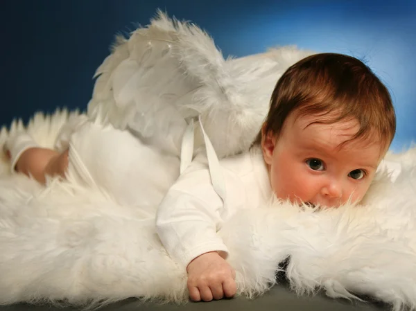 Pequeno anjo. — Fotografia de Stock