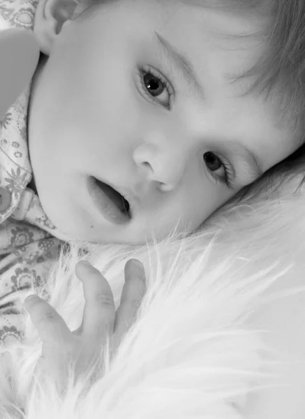 Bebé gris —  Fotos de Stock