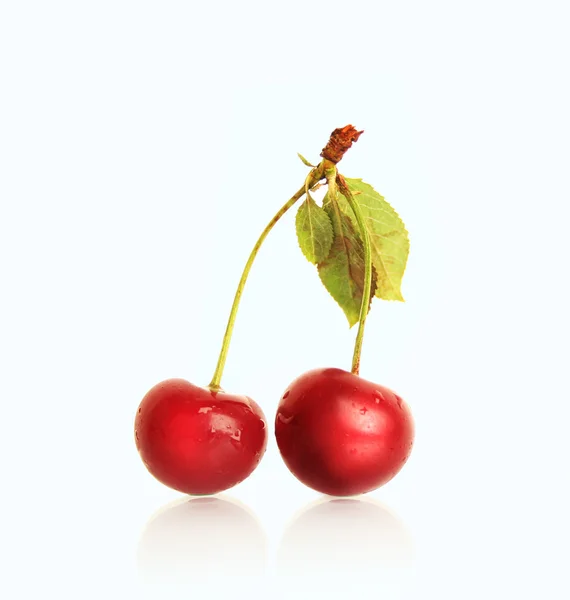 Édes piros cseresznye — Stock Fotó