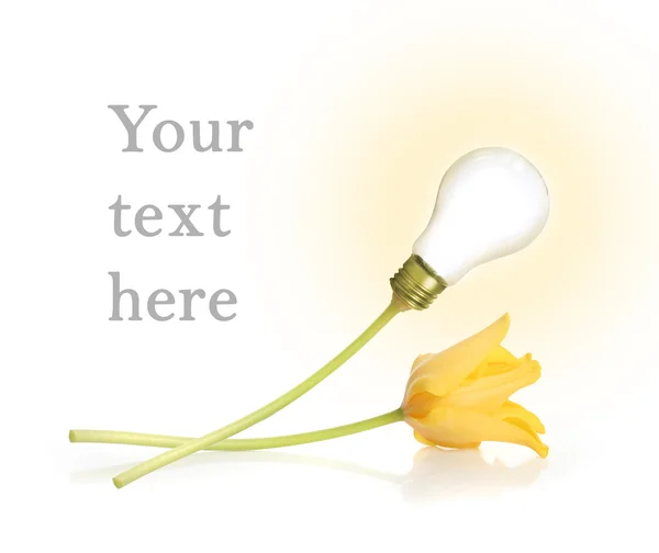 Lamp and tulip — Stock Photo, Image